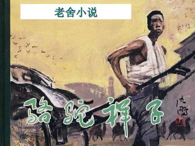 深入了解 51豆奶短视频App